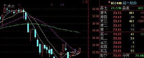 同行业的闰土股份、浙江龙盛暴涨_亚邦股份(6