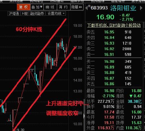 洛阳钼业 60分钟k线看当前股价处于什么趋势中