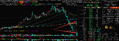 鸿博股份这是怎么了看不懂_鸿博股份(002229