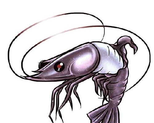 小虾米的炒股漫漫江湖路_股林高手(blog)股吧