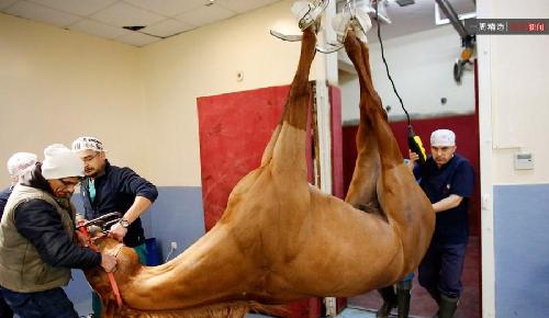 农业银行等银行股不涨反跌,是主力黑白颠倒故