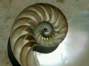 短期均线全部金叉60天线后,MACD零轴之上立