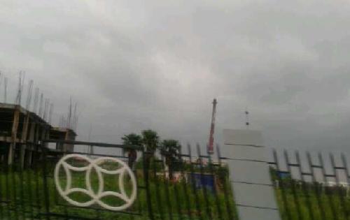 实地调研双钱股份_双钱股份(600623)股吧_东