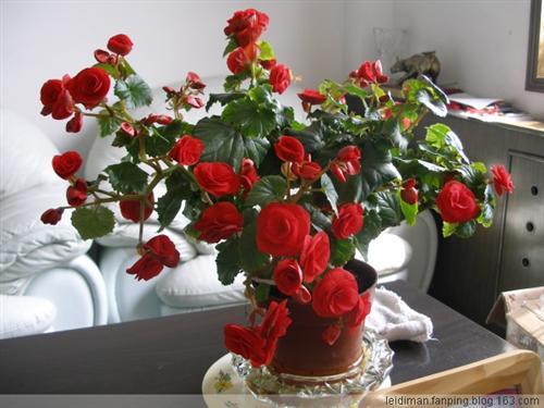 炒股21年 本轮'牛市'收益超过前20年 为什么?_