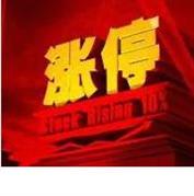 换手率30% ,什么概念啊!_上海九百(600838)股