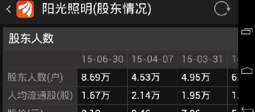 人均持股数量_数量金额式明细账(2)