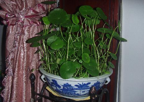 工行的走势决定大盘的走势_鹏华酒分级(of160