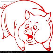 大数据产业利好频出 概念股将成为飞猪_中科