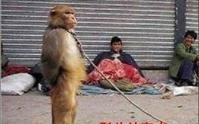 森源电气的散户都是钉子户,牢牢守着不割肉。