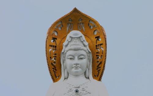 国投医药挂牌倒计时_浙江医药(600216)股吧_