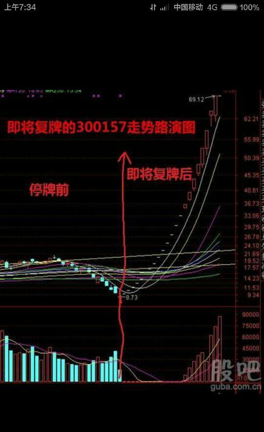 即将复牌重组股300157未来走势分析,大黑马