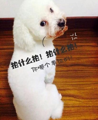 分析 最近几天停牌,融资融卷不停平仓,至今超过