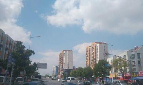 五个跌停板的股票大家看啊,特立力海欣食品全