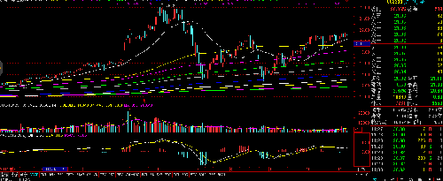 罗普斯金到底在等啥?_罗普斯金(002333)股吧