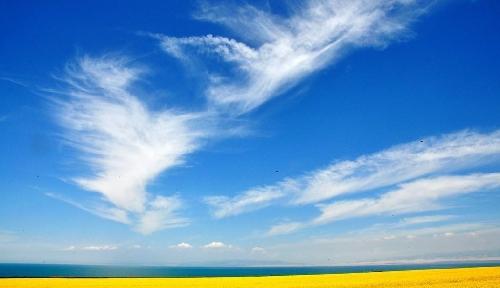 光大证券盘小、高成长、高公积金,极具上升潜