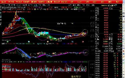 志在高远_金运激光(300220)股吧_东方财富网