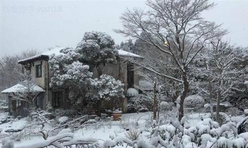 佰利联你怎么了?_佰利联(002601)股吧_东方财