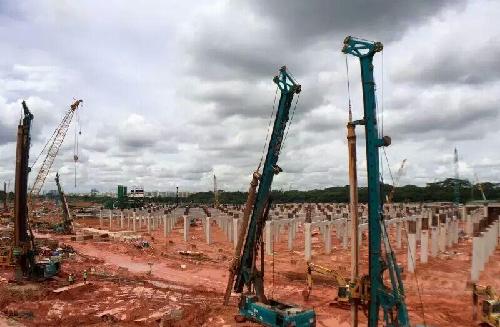 有着花园城市国家美誉的新加坡,绿在城中,行