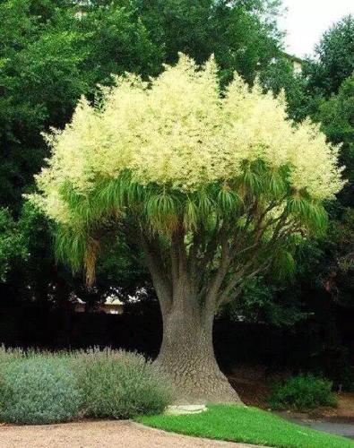 [图片]_爱建集团(600643)股吧_东方财富网股吧