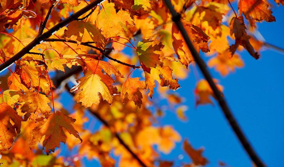 价值洼地在哪里?股价跌破破净资产能买吗?