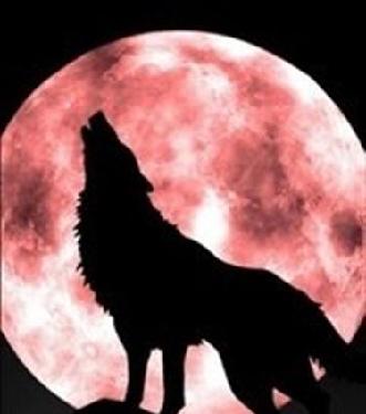 操作佰利联心得!_佰利联(002601)股吧_东方财