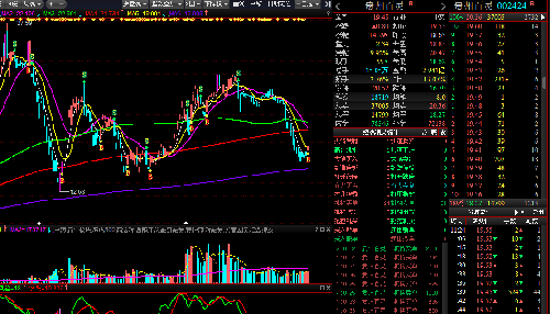 贵州百灵今天放量上涨今天收盘日线红色B点强