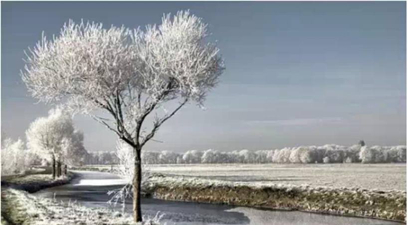 表达好事多磨的古诗