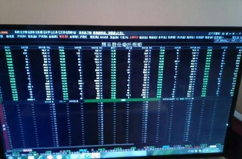 委托明细,全档_辉丰股份(002496)股吧_东方财