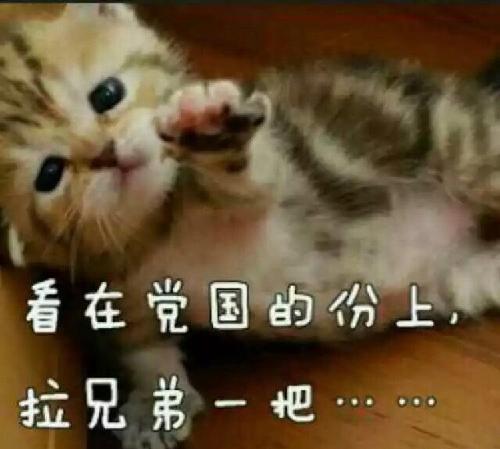 [图片]_宝新能源(000690)股吧_东方财富网股吧