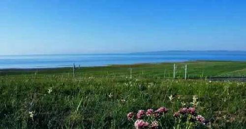 西藏_中国银行(601988)股吧_东方财富网股吧