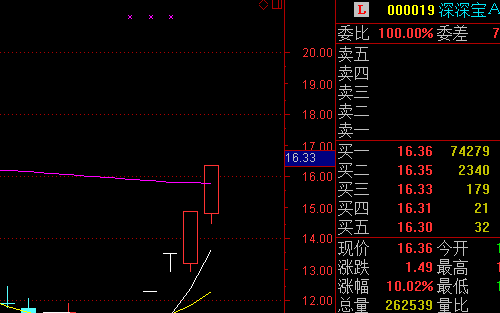000019深深宝A涨停板继续!买入_深深宝A(00