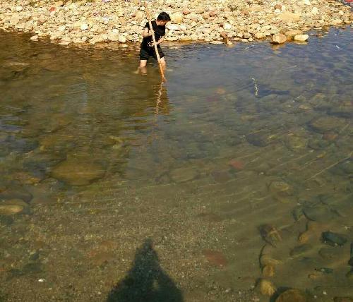 谁说的水清则无鱼,莫非这是混水摸鱼。_天药股