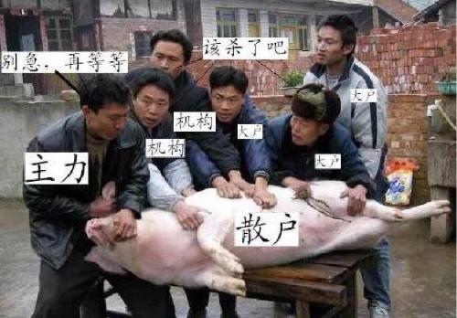 大股东没有明确资产注入前,是不会有行情的,横