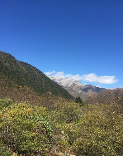 江淮汽车管理层,希望你们要争气,把股价干上去