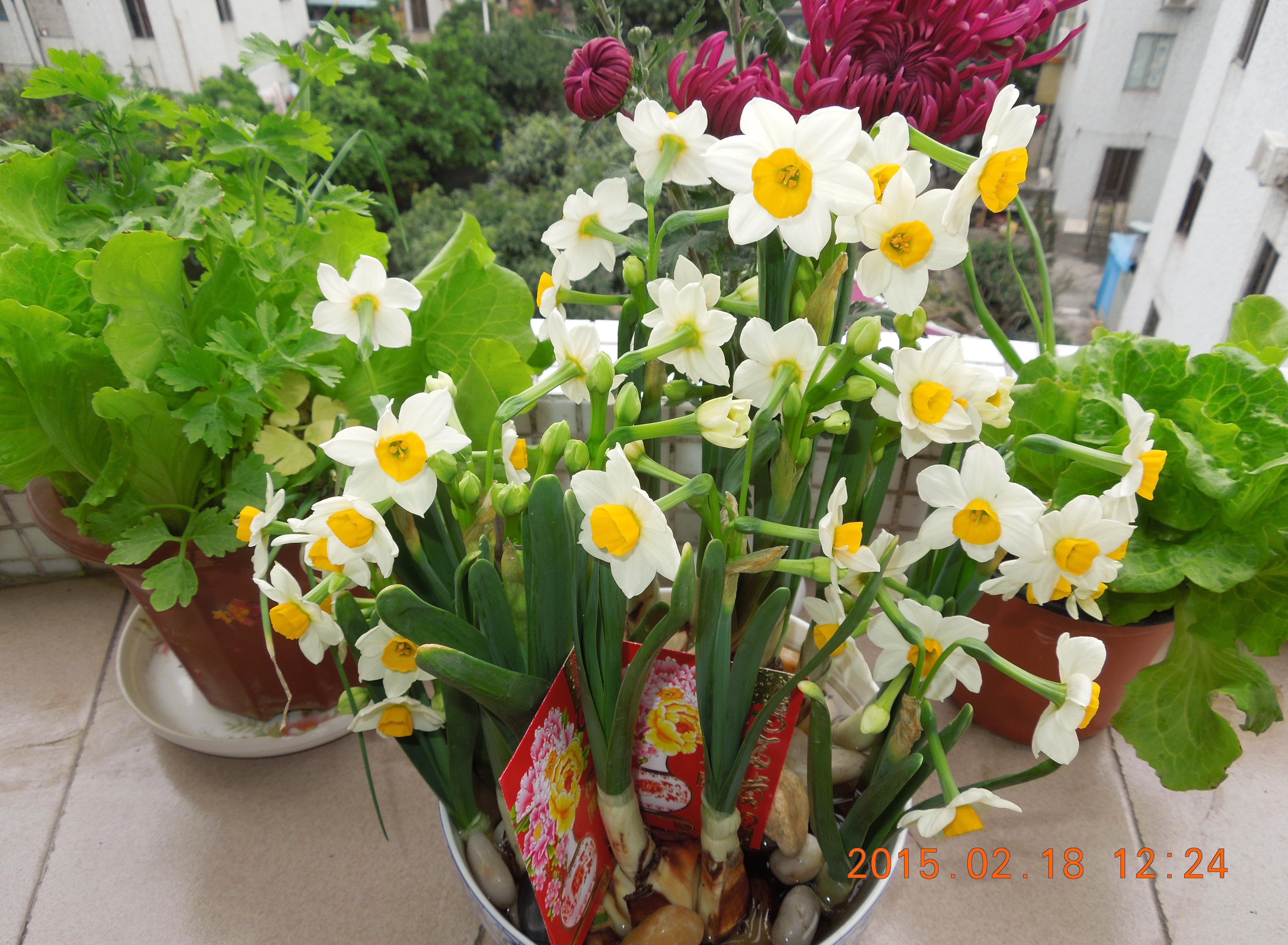 循环日记:中国股市现状之三:今年股市表现_博