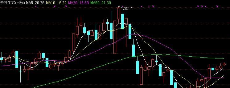金亚科技股吧-金亚科技 退市_300028金亚科技