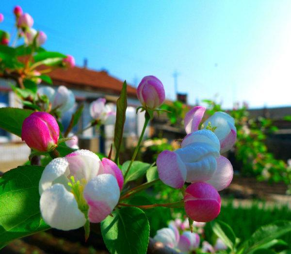 上海国资改革概念股走强_博客(dcblog)股吧_东