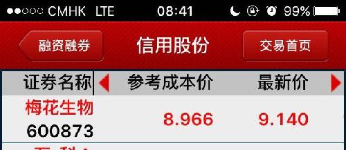 内帐_内帐收入(3)