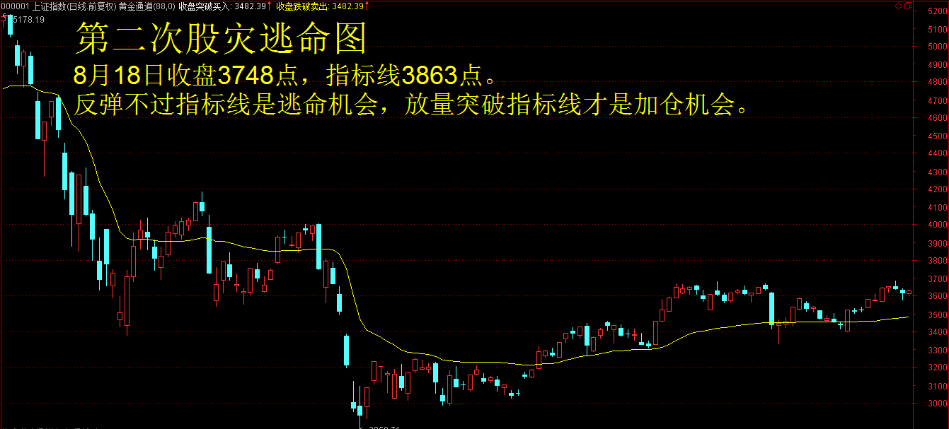 1198AA384685B8CC2DAEC52C9621EBFD.png