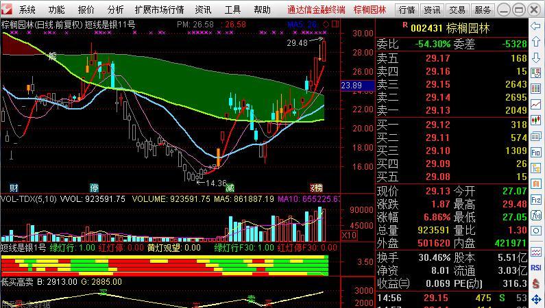 431后期走势精准研判_棕榈股份(002431)股吧_东方财富