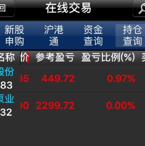 收入证明_已收入(2)