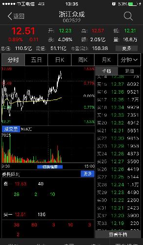 什么时候挂过这盘口,啥意思?_浙江众成(00252