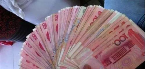 《新星美》开牌必胜客_新美星(300509)股吧_