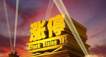 社保基金和汇金公司大量买进达1800万股_振芯