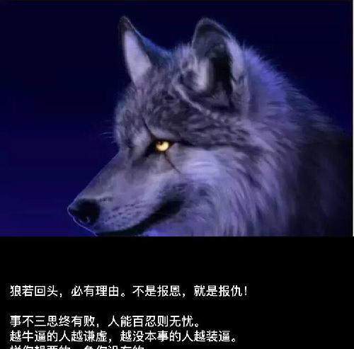 狼若回头,必有理由.不是报恩,就是报仇!