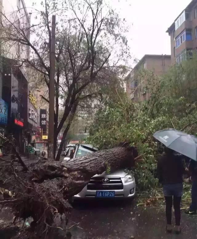 谁将接过白酒股的涨停接力棒?这只股票有点意