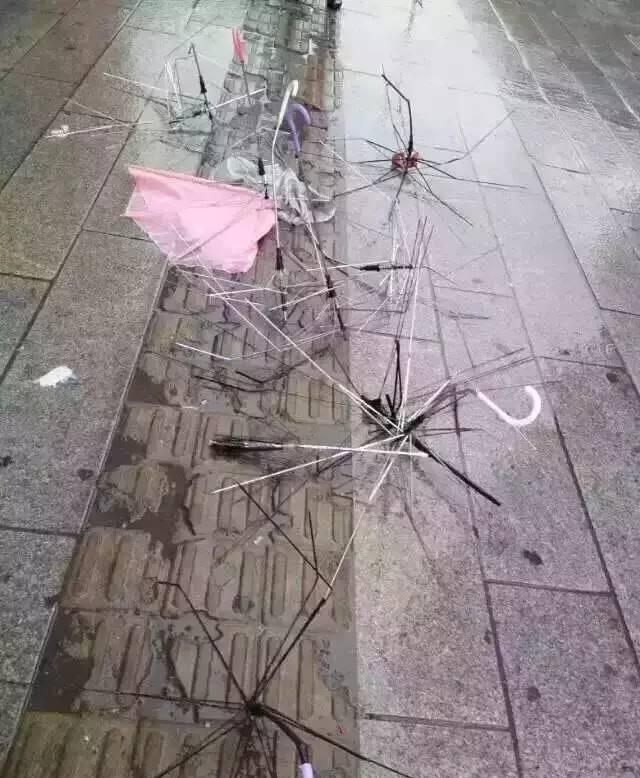 谁将接过白酒股的涨停接力棒?这只股票有点意