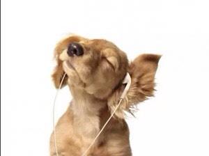 H6销量还上升,H7也上市了。怎么价值还上不了