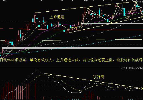 日线MACD顶背离,上升通道未破,黄金现货将继