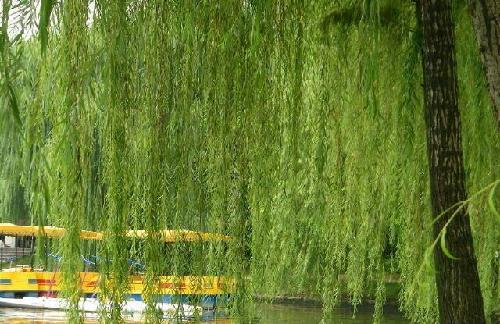 你在乎什么,什么就会折磨你!你计较什么,什么就